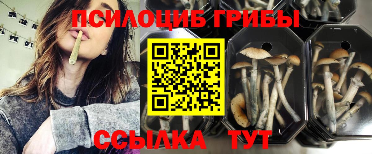 Псилоцибиновые грибы прущие грибы Подольск